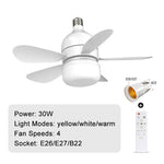 Ceiling Fans with Lights
