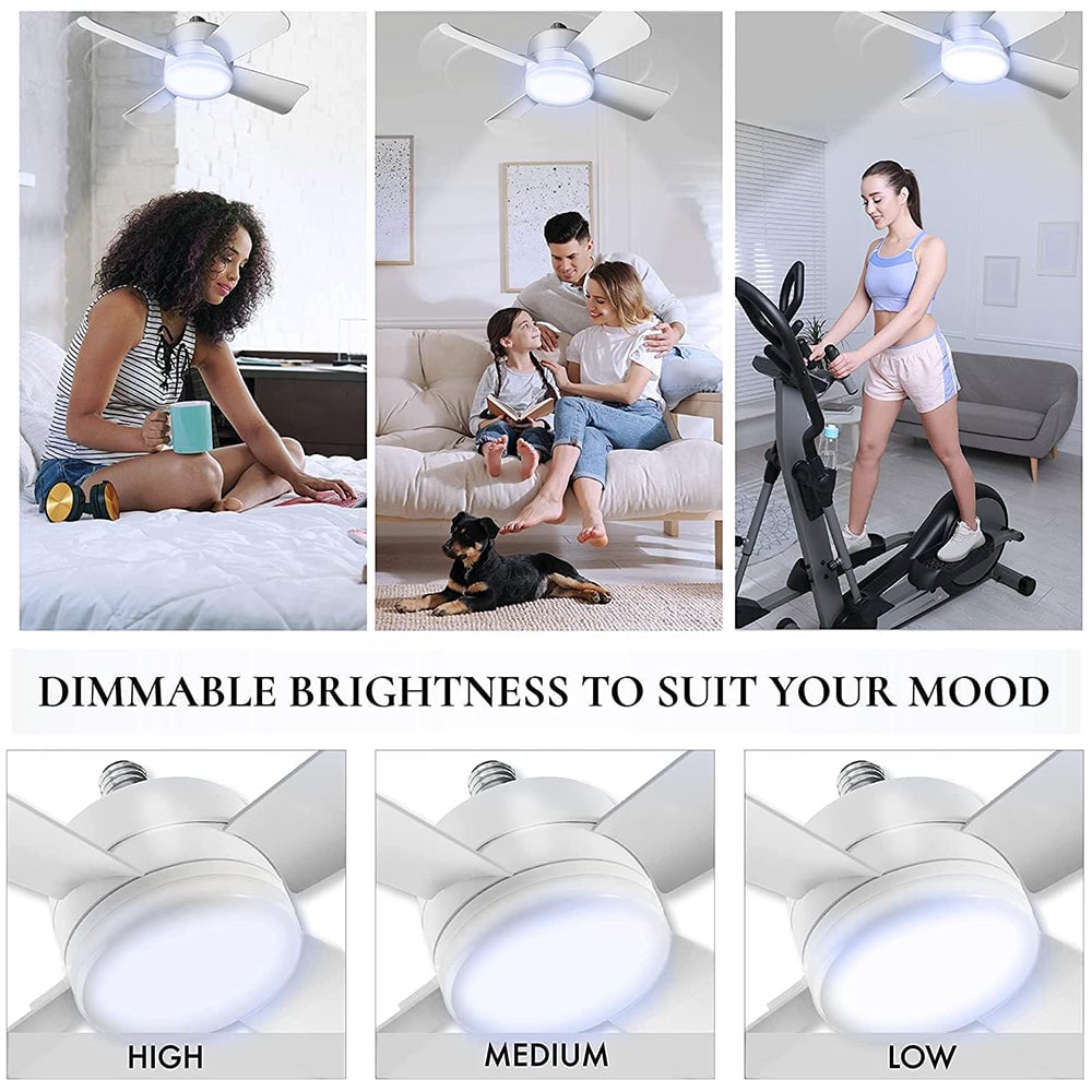 New Ceiling Fans with Lights