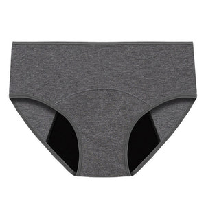 Upgrade Plus Size High Waist Leak Proof Panties