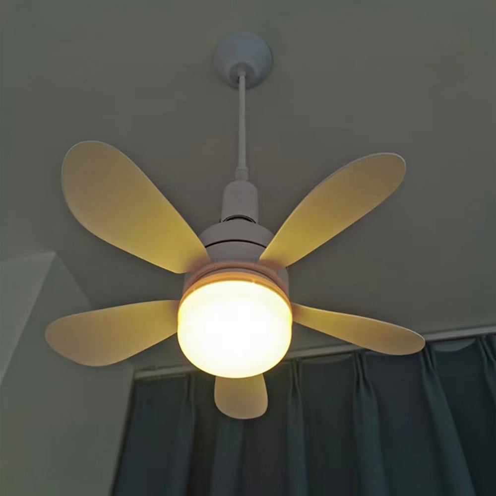 New Ceiling Fans with Lights