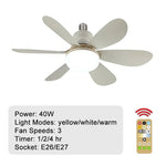 Ceiling Fans with Lights