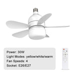 Ceiling Fans with Lights