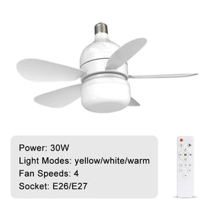 Ceiling Fans with Lights