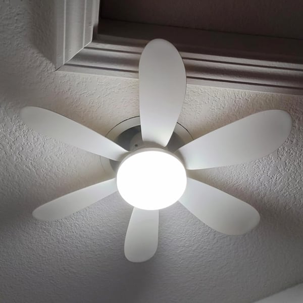 Ceiling Fans with Lights