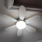 Ceiling Fans with Lights