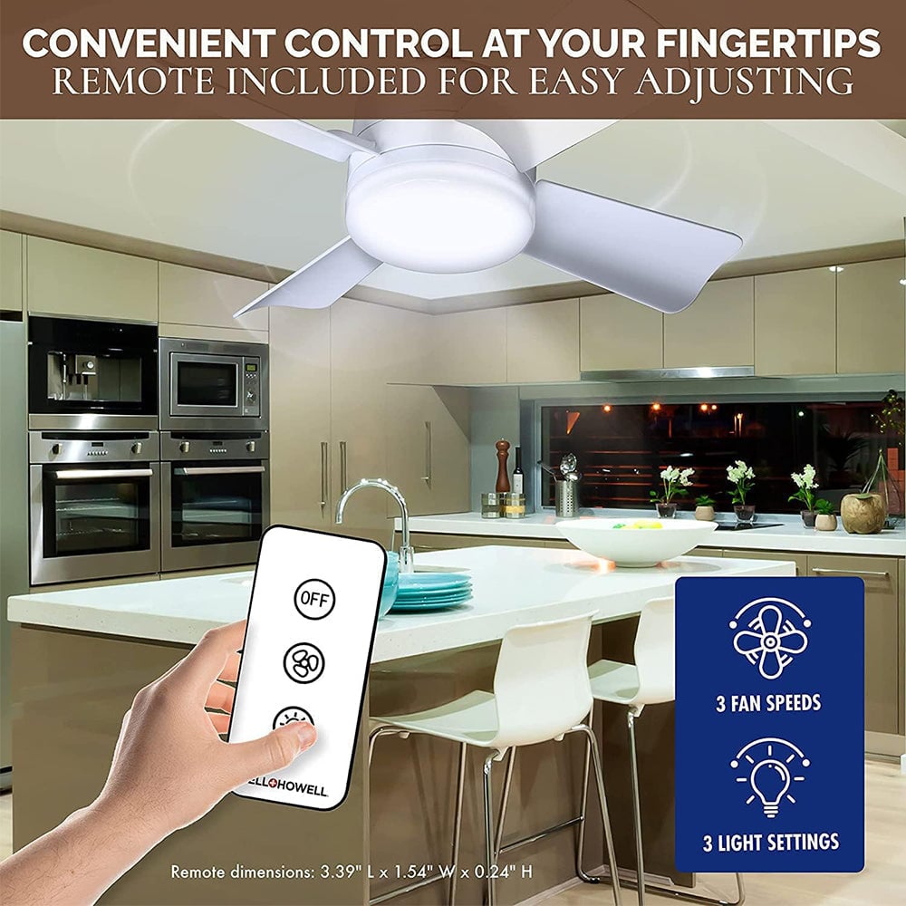 New Ceiling Fans with Lights