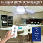 New Ceiling Fans with Lights