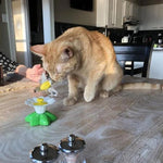 🐱🐱Interactive Bird Toy For Cats