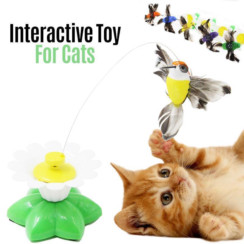 🐱🐱Interactive Bird Toy For Cats
