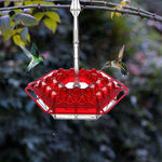 New Hummingbird Feeder
