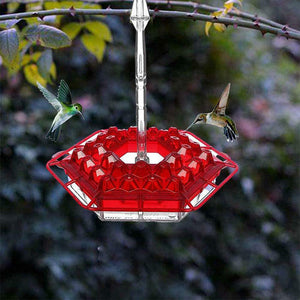 New Hummingbird Feeder