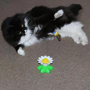 🐱🐱Interactive Bird Toy For Cats